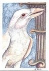 Corvid Dreams Art Card