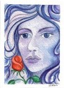 Blue Rose - click for details
