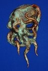 Cthulhu