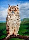 Eagle Owl
