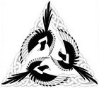 Celtic Magpies